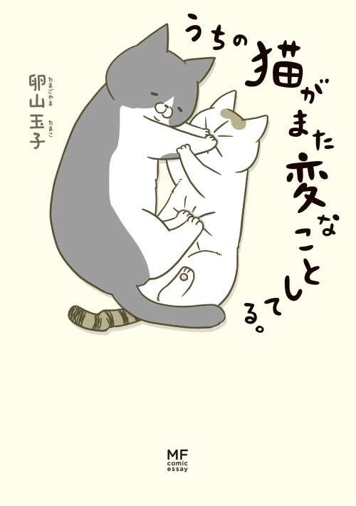 やめてー！ 取り込みたての洗濯物に猫がくっつけたがる「体の部位」／うちの猫がまた変なことしてる。（3）