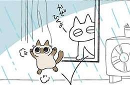 雨は平気だけどシャワーは大嫌い。ふしぎで可愛いシャム猫あずきさん／シャム猫あずきさんは世界の中心（1）