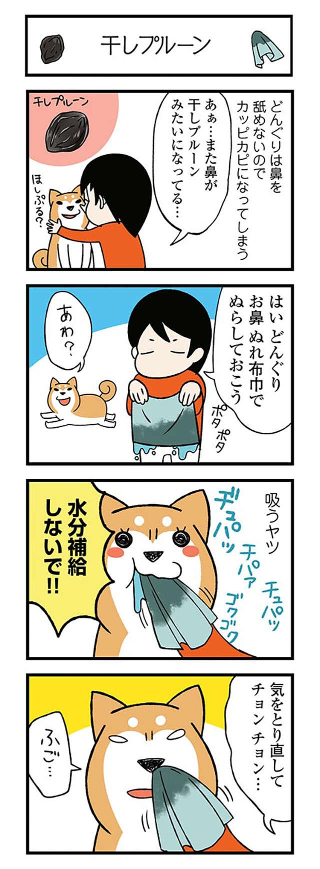 鼻がカッピカピな愛犬。飼い主が濡らそうとしたら「とんでもないこと」に!? ／ドヤ顔柴犬どんぐり（6）