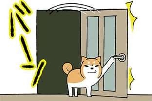 家では「あわわ～」と鳴く愛犬。動物病院で猫をかぶった結果、先生が「一言」／ドヤ顔柴犬どんぐり（1）