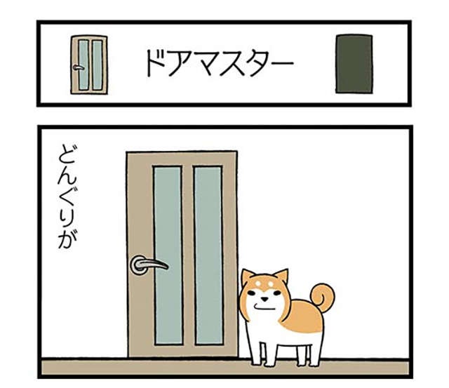 家では「あわわ～」と鳴く愛犬。動物病院で猫をかぶった結果、先生が「一言」／ドヤ顔柴犬どんぐり（2）