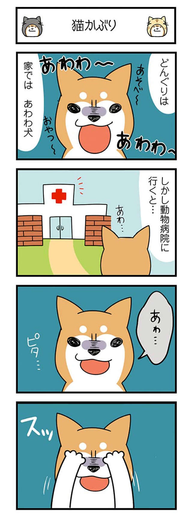 家では「あわわ～」と鳴く愛犬。動物病院で猫をかぶった結果、先生が「一言」／ドヤ顔柴犬どんぐり（6）
