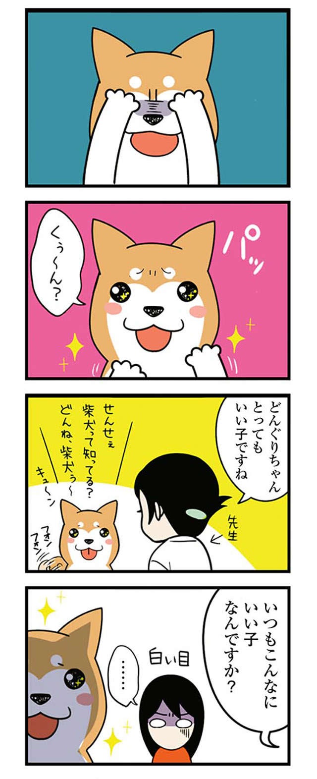 家では「あわわ～」と鳴く愛犬。動物病院で猫をかぶった結果、先生が「一言」／ドヤ顔柴犬どんぐり（7）