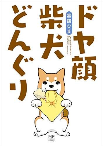 家では「あわわ～」と鳴く愛犬。動物病院で猫をかぶった結果、先生が「一言」／ドヤ顔柴犬どんぐり（9）