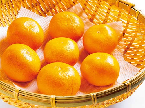 「手が汚れない"有田むき"」「骨粗鬆症や血管にも効く」！ 知って「みかんの知識」（9）