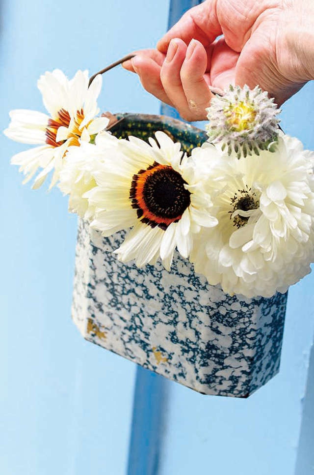 陽だまりに、もう早春の花庭／暮らしの晴れ間（4）