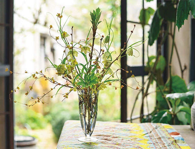 日々をゆったりと楽しむ人気ガーデナーの暮らしを拝見！ 「植物の芽吹きに力をもらう3月」（1）