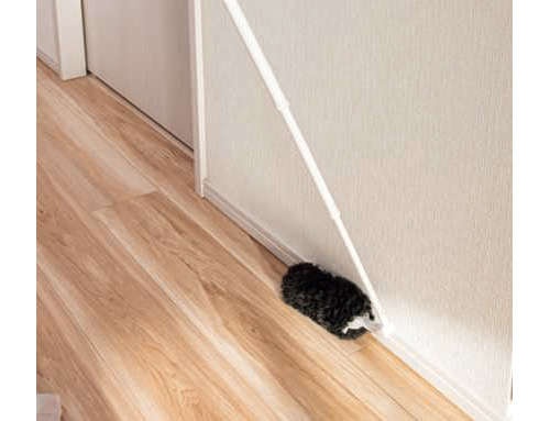 えっ、掃除機って使わなくてもいいの...？ ラクになれる「やめる家事」掃除編（11）
