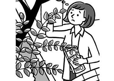 「所有者不明の土地」に関わる相続の新制度。放置しておくと思わぬトラブルに発展する可能性も！（1）
