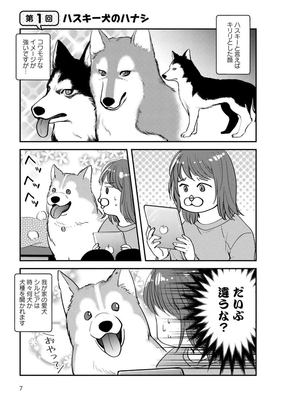ハスキー犬といえばコワモテなイメージ。だけど我が家の愛犬はだいぶ違う!? ／猫とハスキーとハマジ1（2）