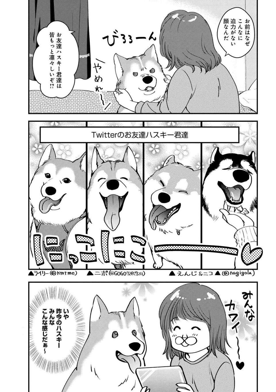 ハスキー犬といえばコワモテなイメージ。だけど我が家の愛犬はだいぶ違う!? ／猫とハスキーとハマジ1（3）