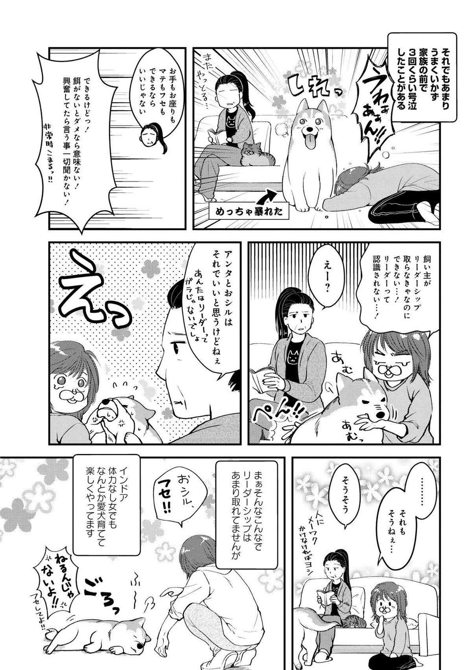 ハスキー犬といえばコワモテなイメージ。だけど我が家の愛犬はだいぶ違う!? ／猫とハスキーとハマジ1（5）