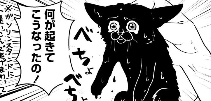 廃油まみれの黒猫が我が家に！ 何度洗っても落ちない廃油をキレイに取る方法／猫とハスキーとハマジ1（1）