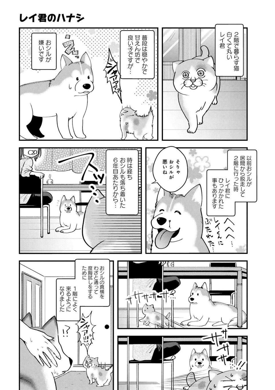 廃油まみれの黒猫が我が家に！ 何度洗っても落ちない廃油をキレイに取る方法／猫とハスキーとハマジ1（4）
