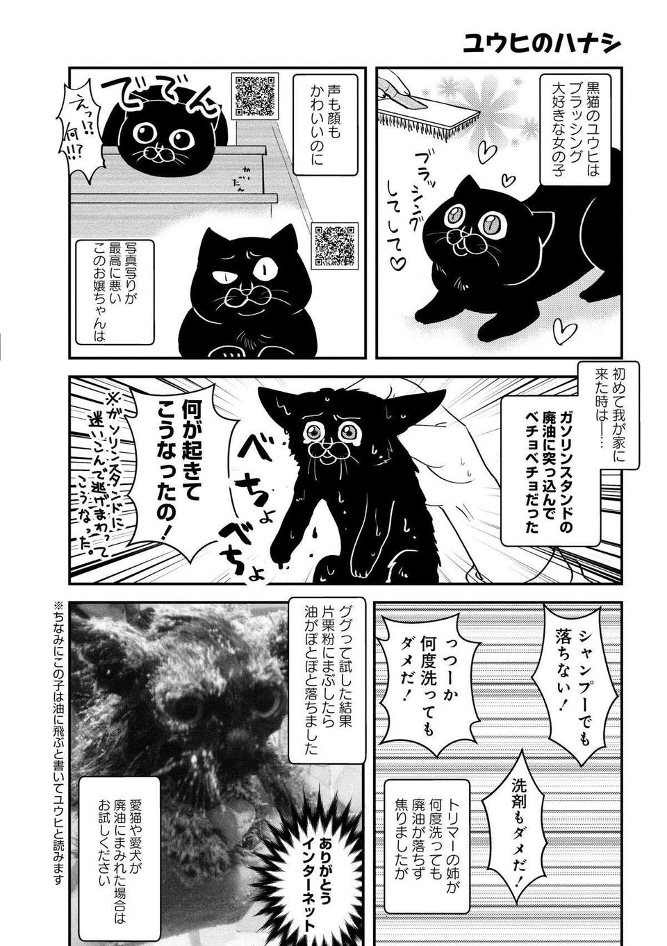 廃油まみれの黒猫が我が家に！ 何度洗っても落ちない廃油をキレイに取る方法／猫とハスキーとハマジ1（5）