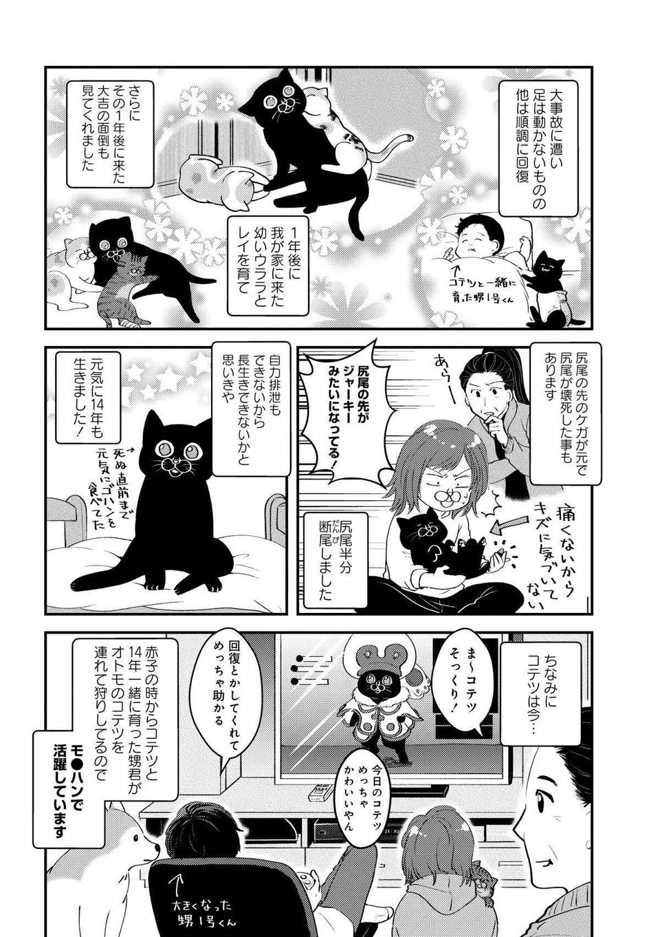 廃油まみれの黒猫が我が家に！ 何度洗っても落ちない廃油をキレイに取る方法／猫とハスキーとハマジ1（6）