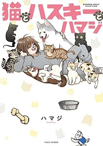 廃油まみれの黒猫が我が家に！ 何度洗っても落ちない廃油をキレイに取る方法／猫とハスキーとハマジ1（7）