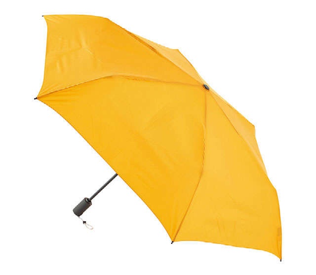 読者と本誌スタッフの「買ってよかった」を紹介「雨の日も気分が上がる傘」（2）