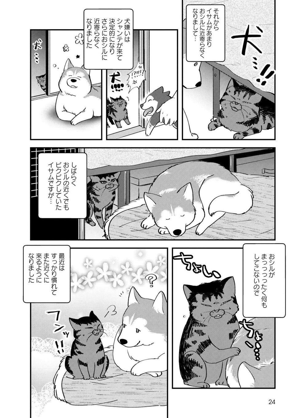 我が家のハスキーを「犬」だと思っていなかった愛猫。ある日、気づいた結果／猫とハスキーとハマジ2（3）