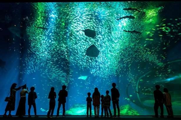 1泊2日で茨城のレジャーやグルメを堪能！絶品海鮮に日本トップクラスの水族館、海釣りデビューまで体験＜PR＞（3）