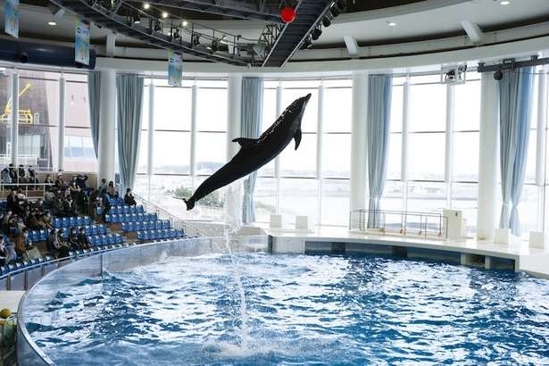 1泊2日で茨城のレジャーやグルメを堪能！絶品海鮮に日本トップクラスの水族館、海釣りデビューまで体験＜PR＞（4）