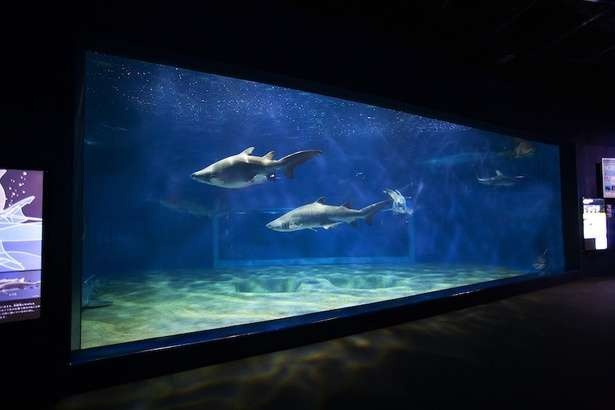 1泊2日で茨城のレジャーやグルメを堪能！絶品海鮮に日本トップクラスの水族館、海釣りデビューまで体験＜PR＞（5）