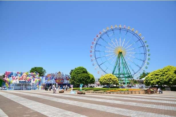 1泊2日で茨城のレジャーやグルメを堪能！絶品海鮮に日本トップクラスの水族館、海釣りデビューまで体験＜PR＞（10）