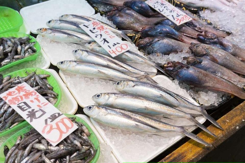 1泊2日で茨城のレジャーやグルメを堪能！絶品海鮮に日本トップクラスの水族館、海釣りデビューまで体験＜PR＞（15）