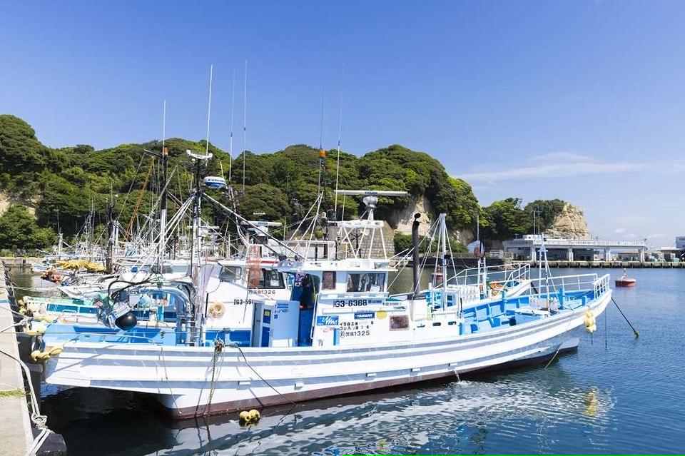1泊2日で茨城のレジャーやグルメを堪能！絶品海鮮に日本トップクラスの水族館、海釣りデビューまで体験＜PR＞（21）