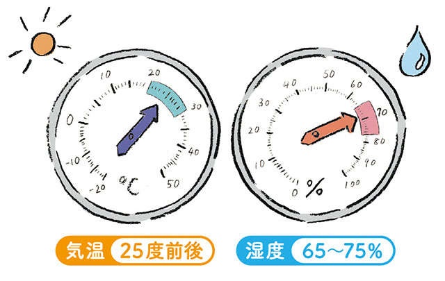 こわっ！ 夏はダニが爆増...。自宅内「ダニが多いところトップ5」をチェック【専門家に聞きました】（6）