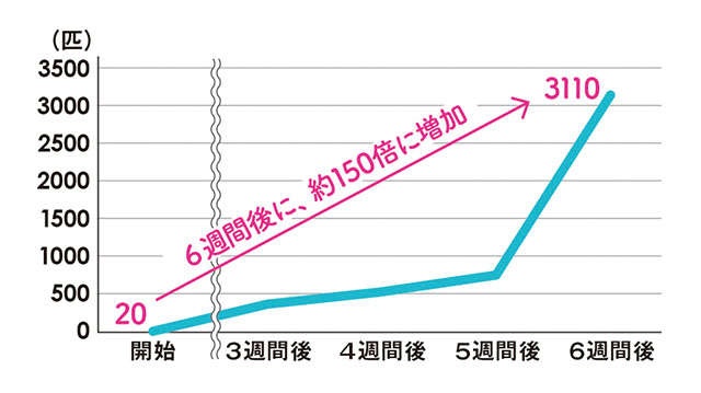 夏のふとんは「ダニの天国」！ 専門家に聞いた「効果的にダニを退治するふとんのお手入れ5カ条」（2）