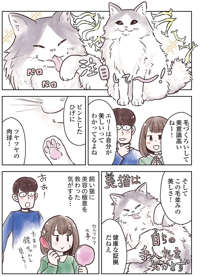 健康な猫は美しい！ 外見は心と体の健康のバロメーター／猫と幸せに暮らすための教科書（3）