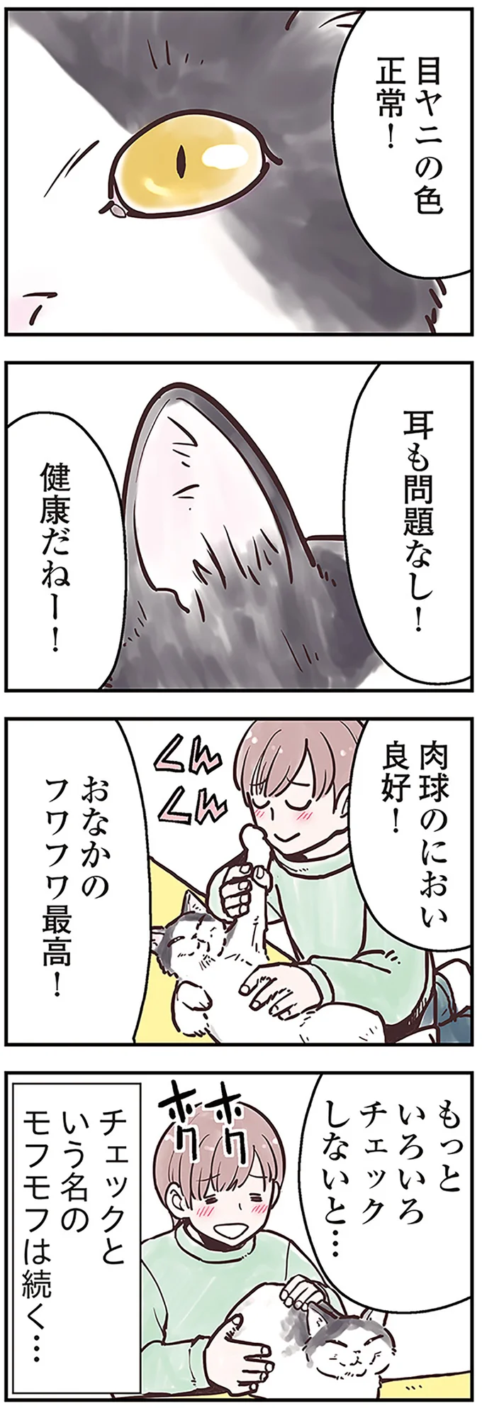 猫も人間も一緒！ ほめ言葉は猫のメンタルケアに効果的／猫と幸せに暮らすための教科書（画像6/7枚目）