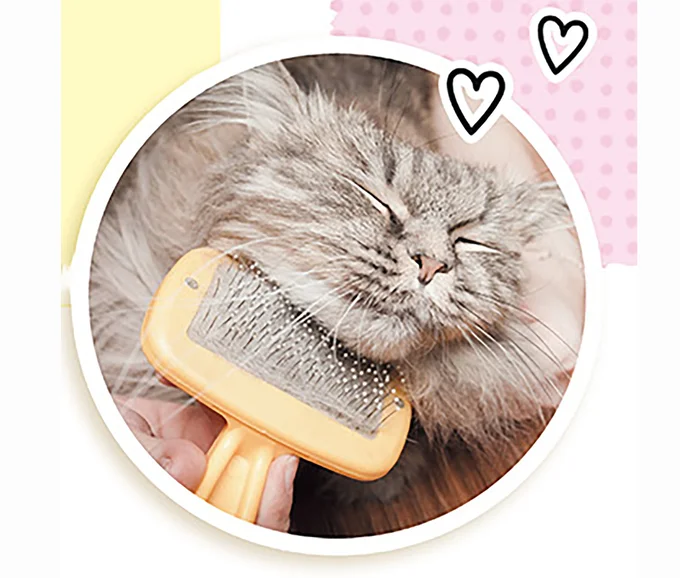 猫アレルギーの原因となる物質第1位は？対策になる掃除のアイデア／猫と幸せに暮らすための教科書（4）