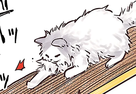 猫の「心の健康」にも影響していた！ 爪研ぎのヒミツ／猫と幸せに暮らすための教科書（1）