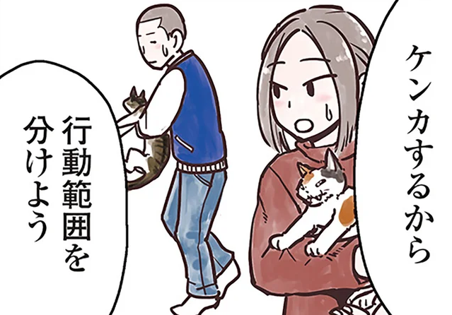 猫の多頭飼いではゾーン分けを。慎重に相性を見極めよう／猫と幸せに暮らすための教科書（1）