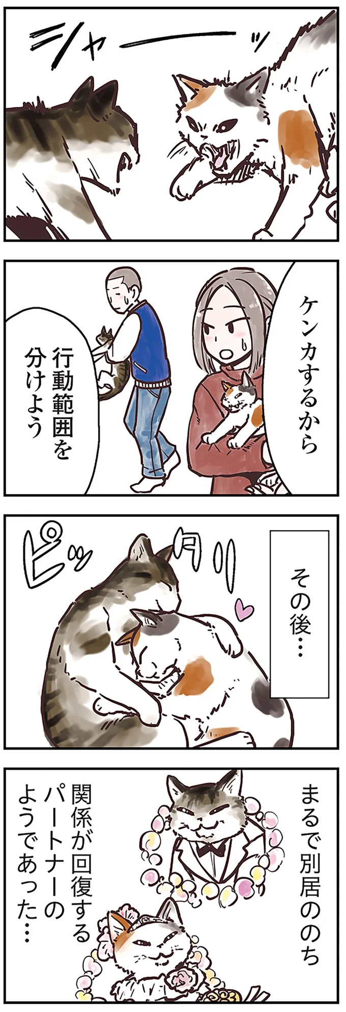 猫の多頭飼いではゾーン分けを。慎重に相性を見極めよう／猫と幸せに暮らすための教科書（3）