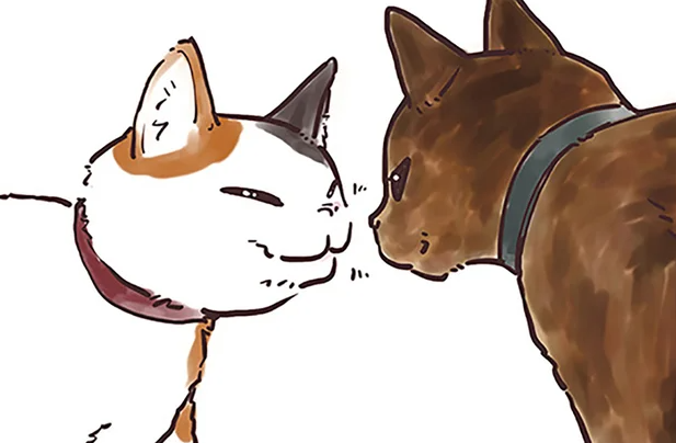 愛猫が飼い主に鼻をつけてクンクン...じつは猫なりの「理由」があった！／猫と幸せに暮らすための教科書（1）