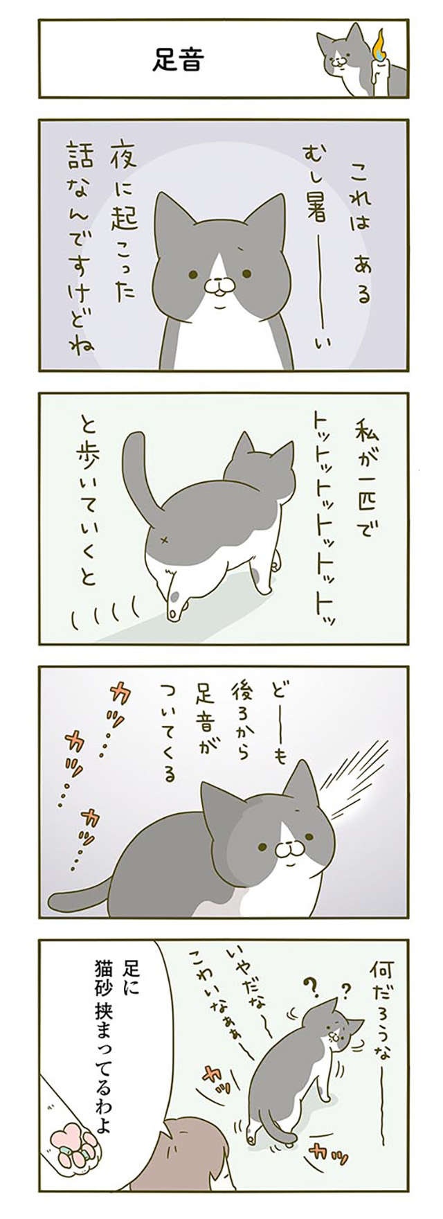 「ほんとに怖いからやめて」猫にまつわる怖い話／うちの猫がまた変なことしてる。2（3）