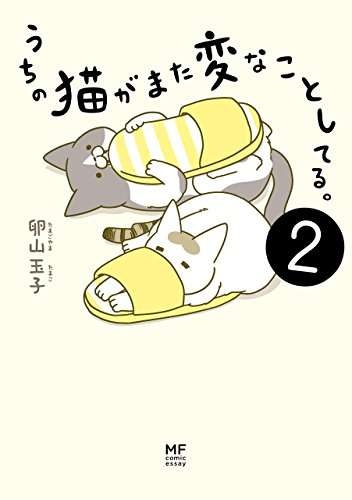 「ほんとに怖いからやめて」猫にまつわる怖い話／うちの猫がまた変なことしてる。2（5）