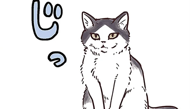 愛猫は何を考えているの...？ 飼い主をジッと見つめる猫の「要求」／猫と幸せに暮らすための教科書（1）