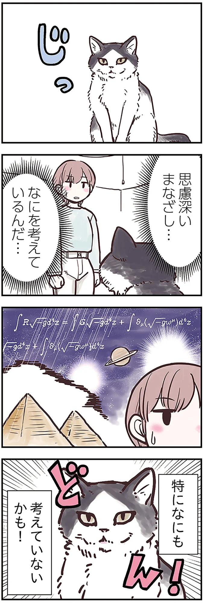 愛猫は何を考えているの...？ 飼い主をジッと見つめる猫の「要求」／猫と幸せに暮らすための教科書（3）
