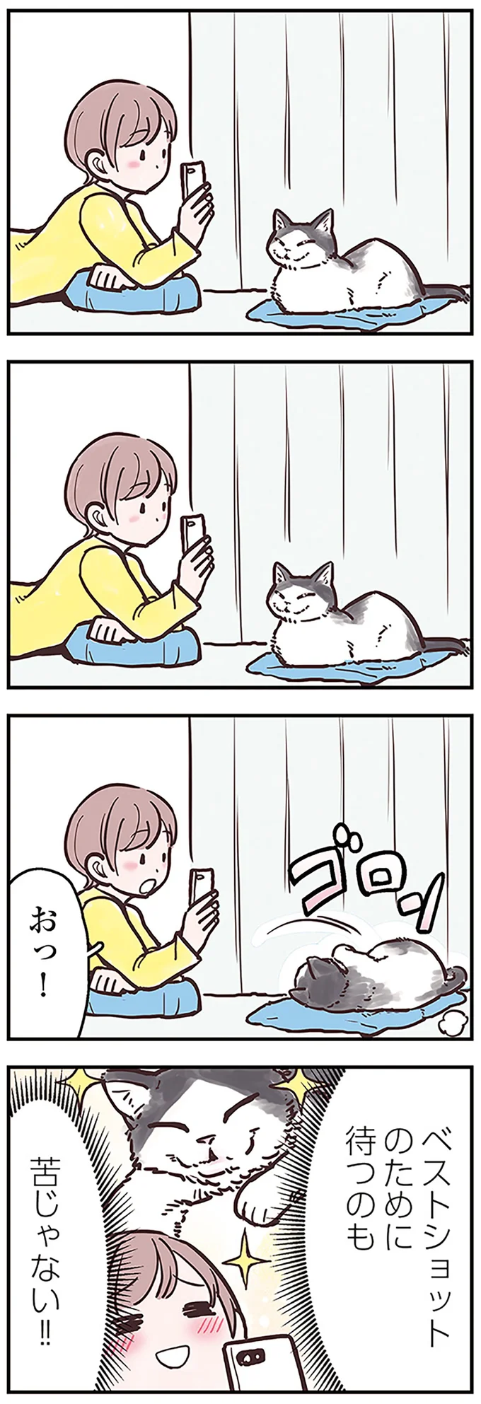 愛猫は何を考えているの...？ 飼い主をジッと見つめる猫の「要求」／猫と幸せに暮らすための教科書（画像6/7枚目）