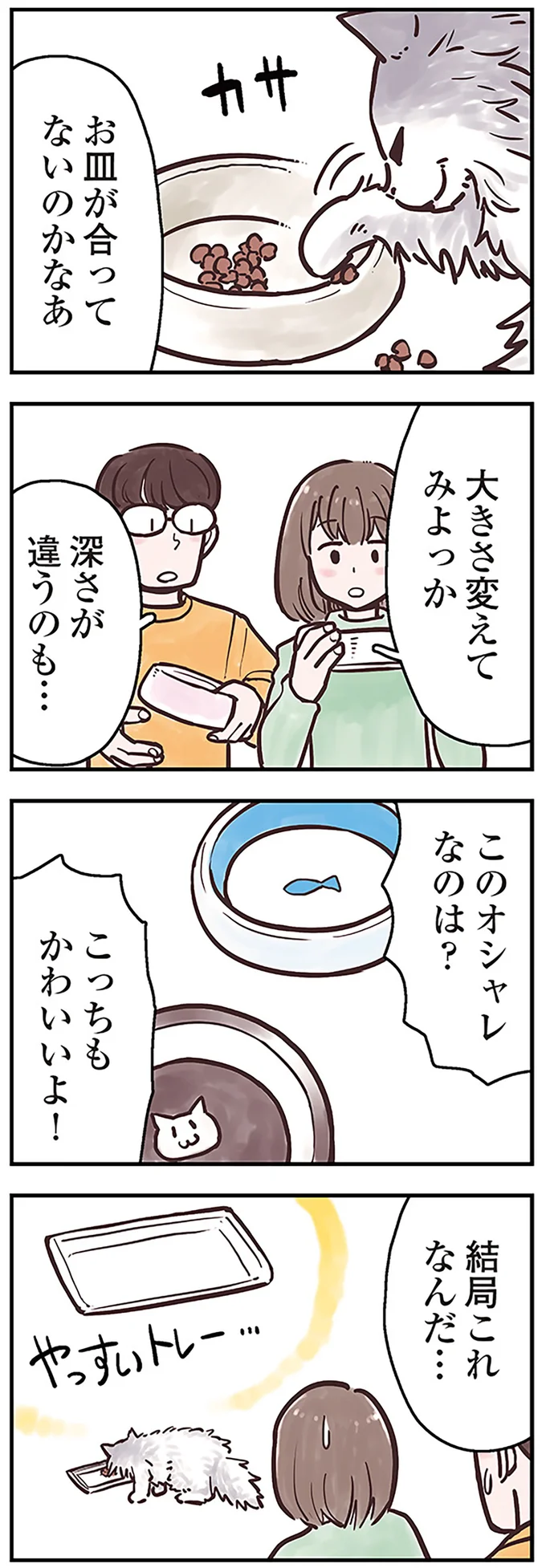 猫の理想体形を知って「肥満チェック」を！ 判断ポイントは...／猫と幸せに暮らすための教科書（画像6/7枚目）