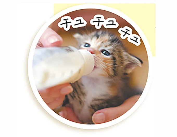 子猫に牛乳は厳禁!? ミルクもフードも子猫専用のものを与えよう／猫と幸せに暮らすための教科書（2）
