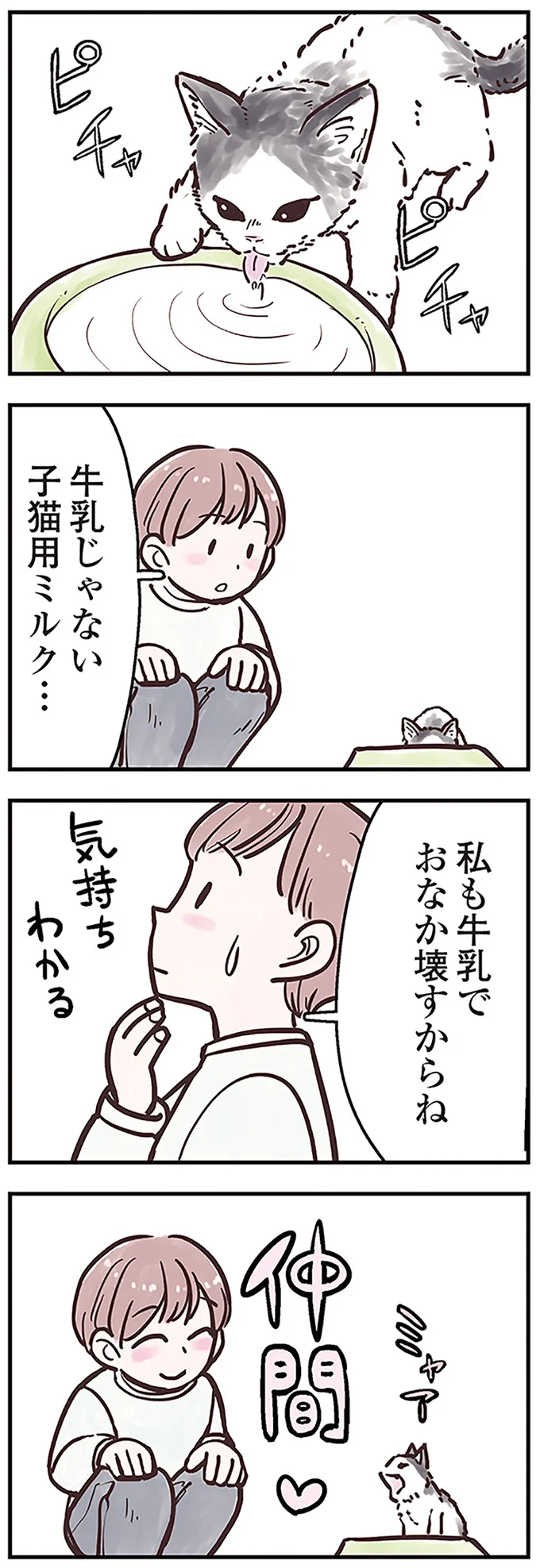 子猫に牛乳は厳禁!? ミルクもフードも子猫専用のものを与えよう／猫と幸せに暮らすための教科書（3）