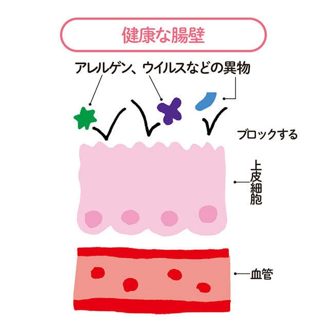 脳での不安が減る、太りにくくなる...最新研究でわかった「腸活」7つの効果【薬学博士・國澤先生が解説】（6）