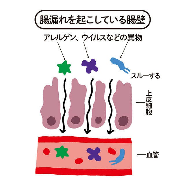 脳での不安が減る、太りにくくなる...最新研究でわかった「腸活」7つの効果【薬学博士・國澤先生が解説】（7）