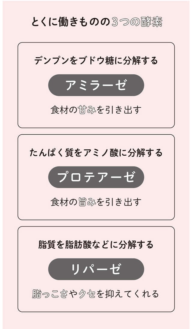 腸内環境の改善、疲労回復、アンチエイジング...「塩麹の効果」とは／体の内側からきれいになる 麹のレシピ（7）