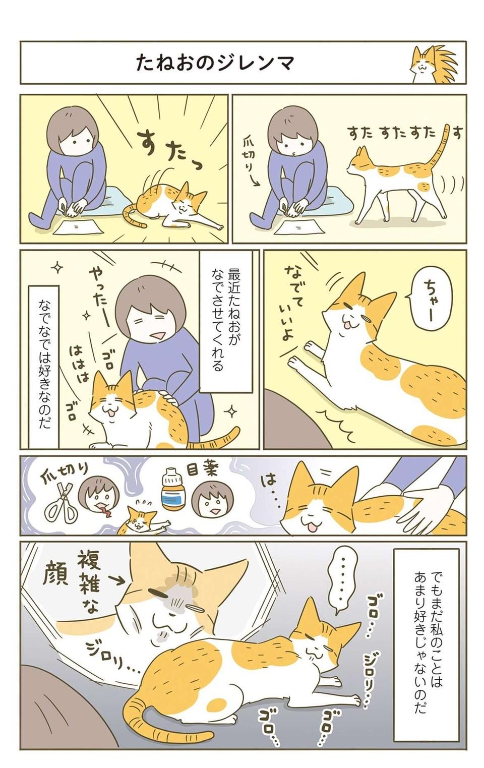 えっ、なでなでは欲してない？ 「猫の正解」が難しすぎる... ／うちの猫がまた変なことしてる。7（2）